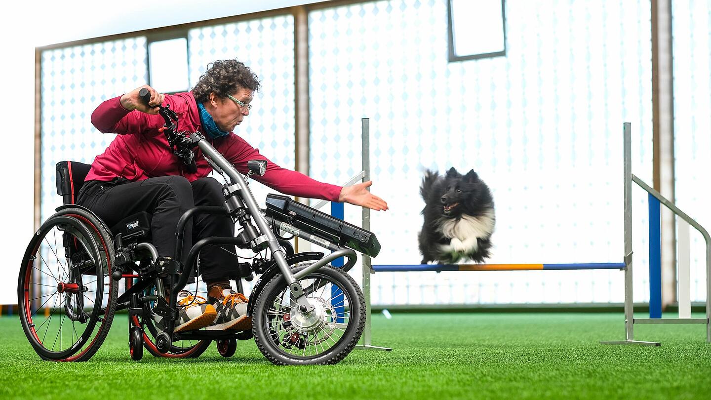 Rollstuhlfahrer beim Hundetraining, Bildquelle: 2025, Sunrise Medical GmbH, Malsch/HD Frau im speziell angepasstem Rollstuhl mit Lenkhilfe trainiert Hund, Bildquelle: 2025, Sunrise Medical GmbH, Malsch/HD