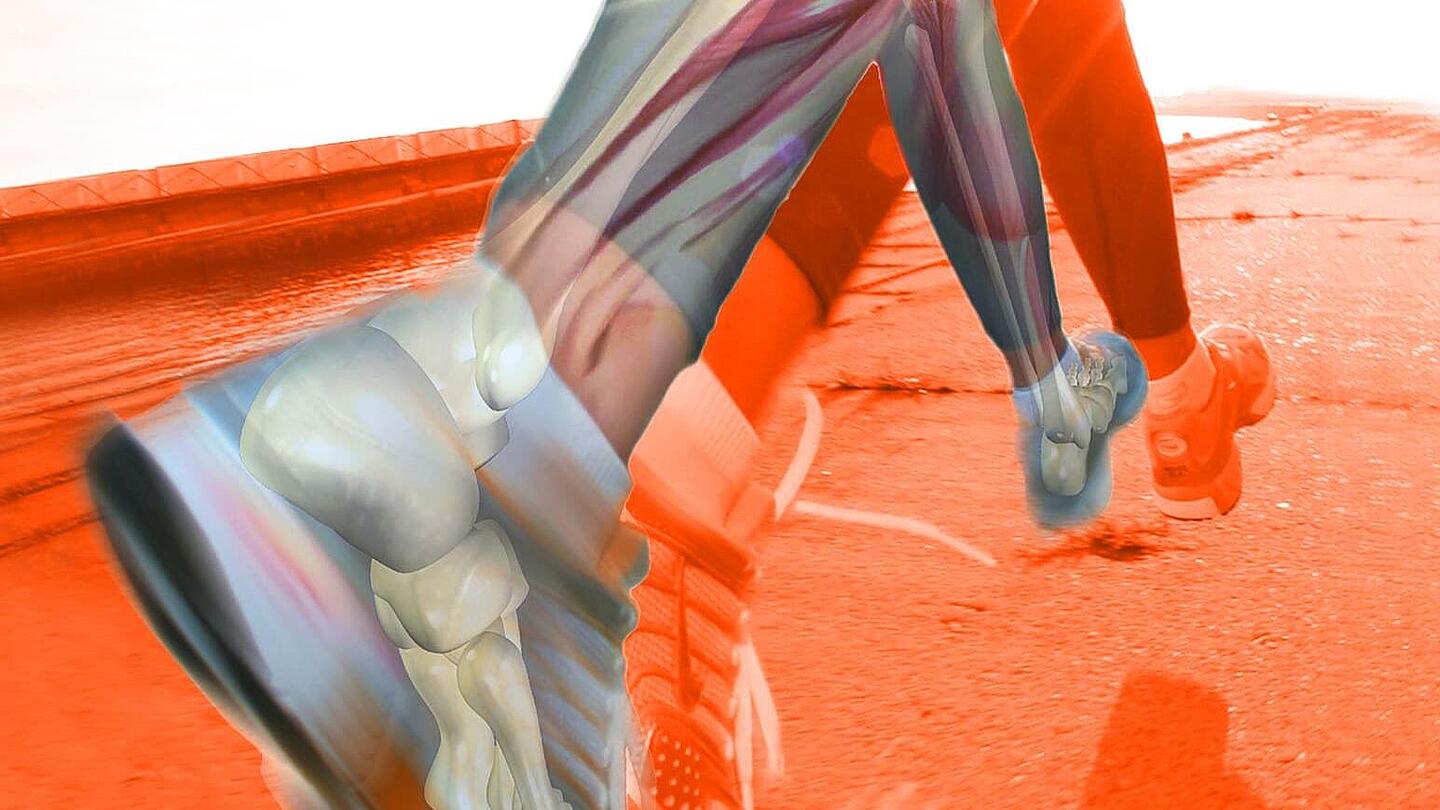 Muskelgruppen eines Läufers Stilisierte Person mit Muskelgruppen beim Laufen