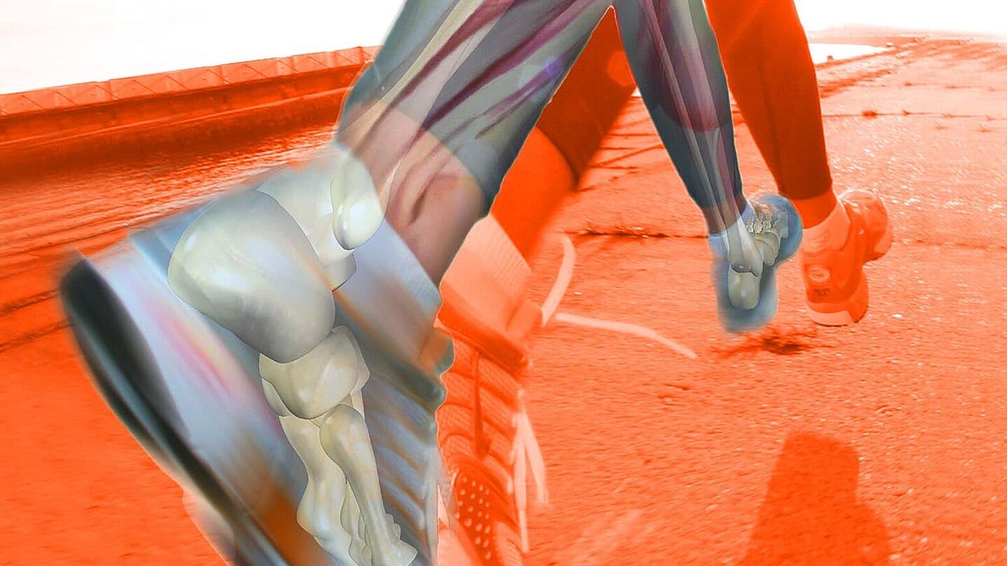 Muskelgruppen eines Läufers Stilisierte Person mit Muskelgruppen beim Laufen